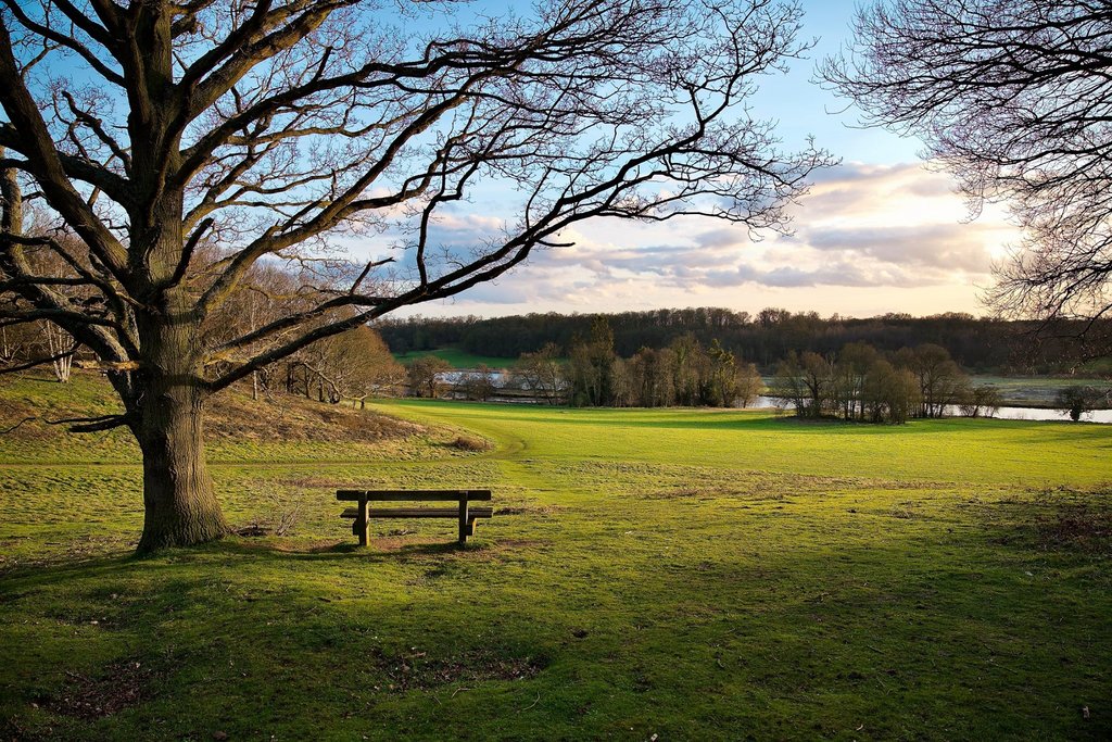 winter-view-park-bench.jpg