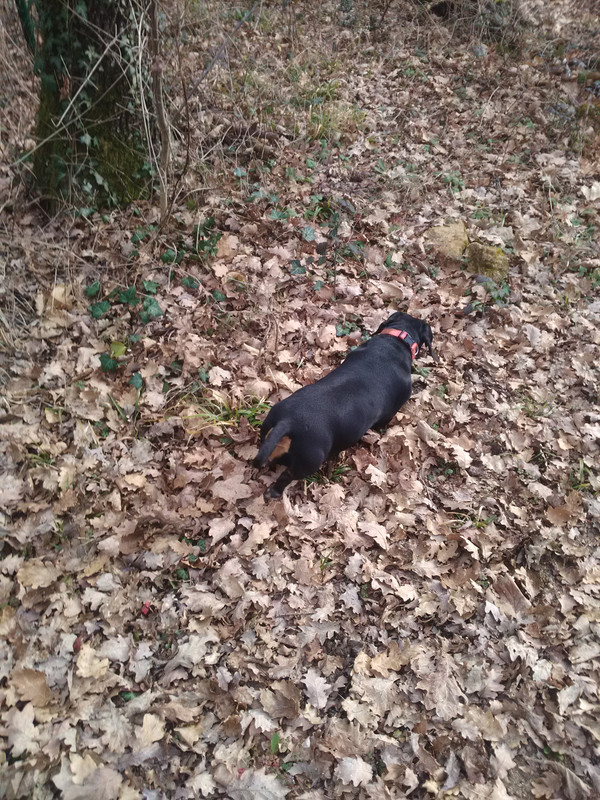 [Image: IMG-20230219-150729.jpg]