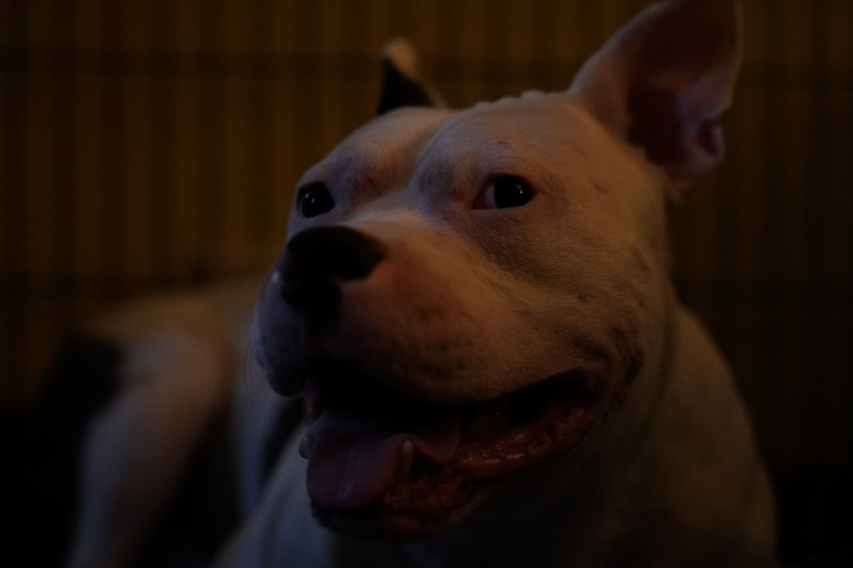 7CCC9B4F-DD8D-431F-8724-8AD05144068A