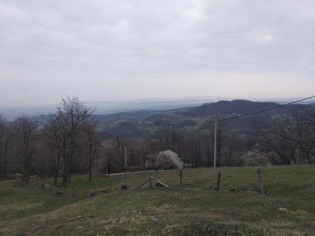 Slika