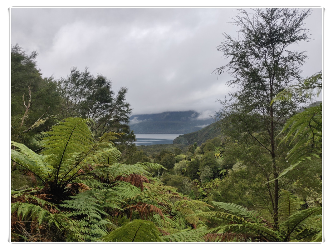 Cosas que hacer en Rotorua - Escapadas y rutas por la Nueva Zelanda menos conocida (38)
