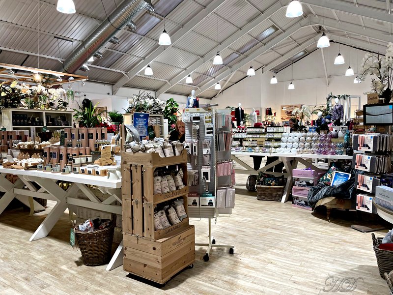 garden-centre-CC-dec-2023.jpg