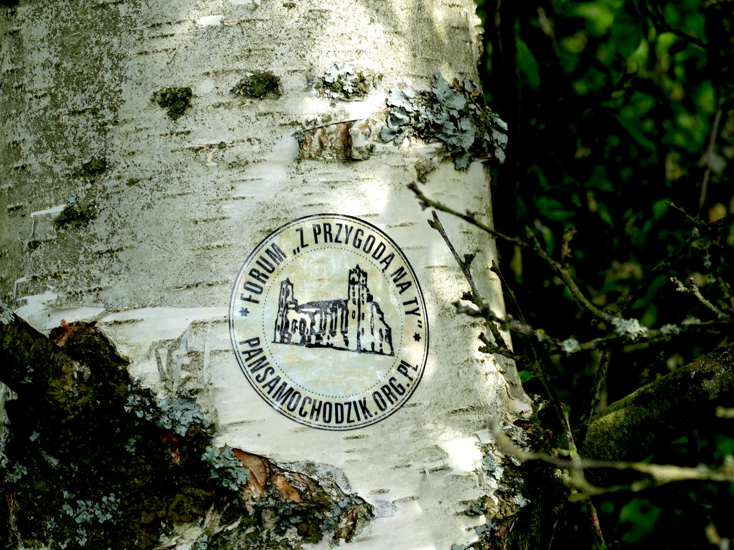 22.09 - DSC07616 (Czesio1)