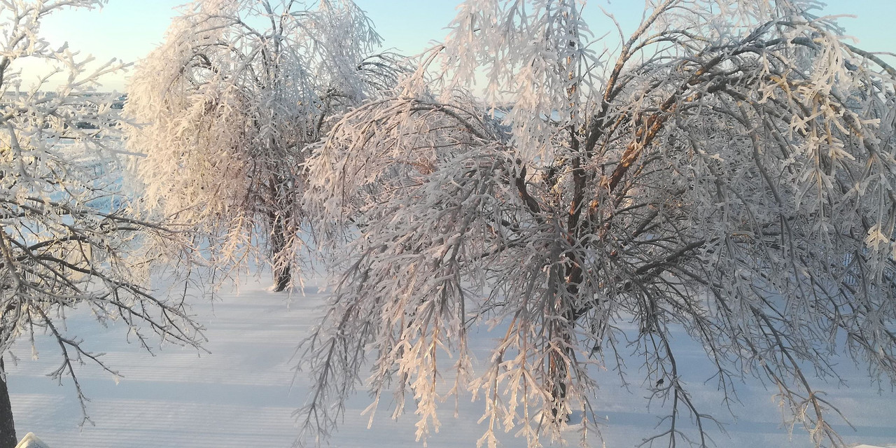 Feb15Morn#5