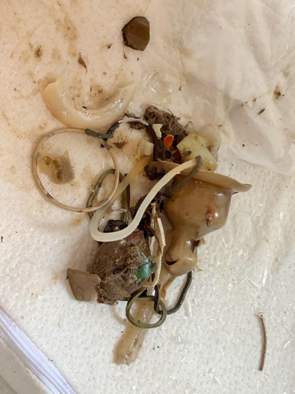 Bierkowo 2 34f-c528b79cddde