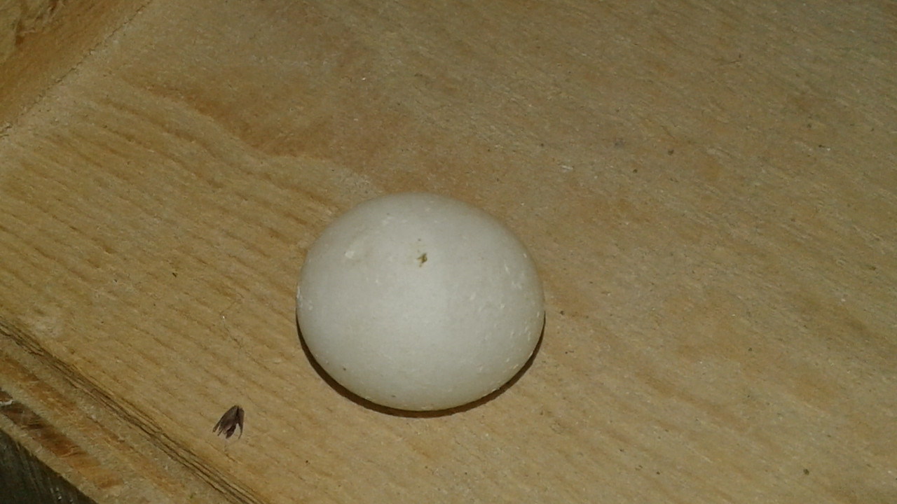 ٢?١٩?٣?٦_١٥١١٤٨