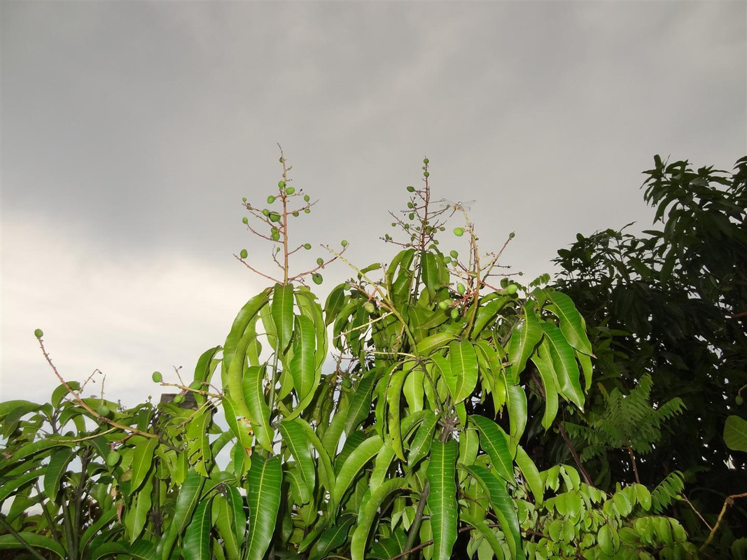 DSC01790