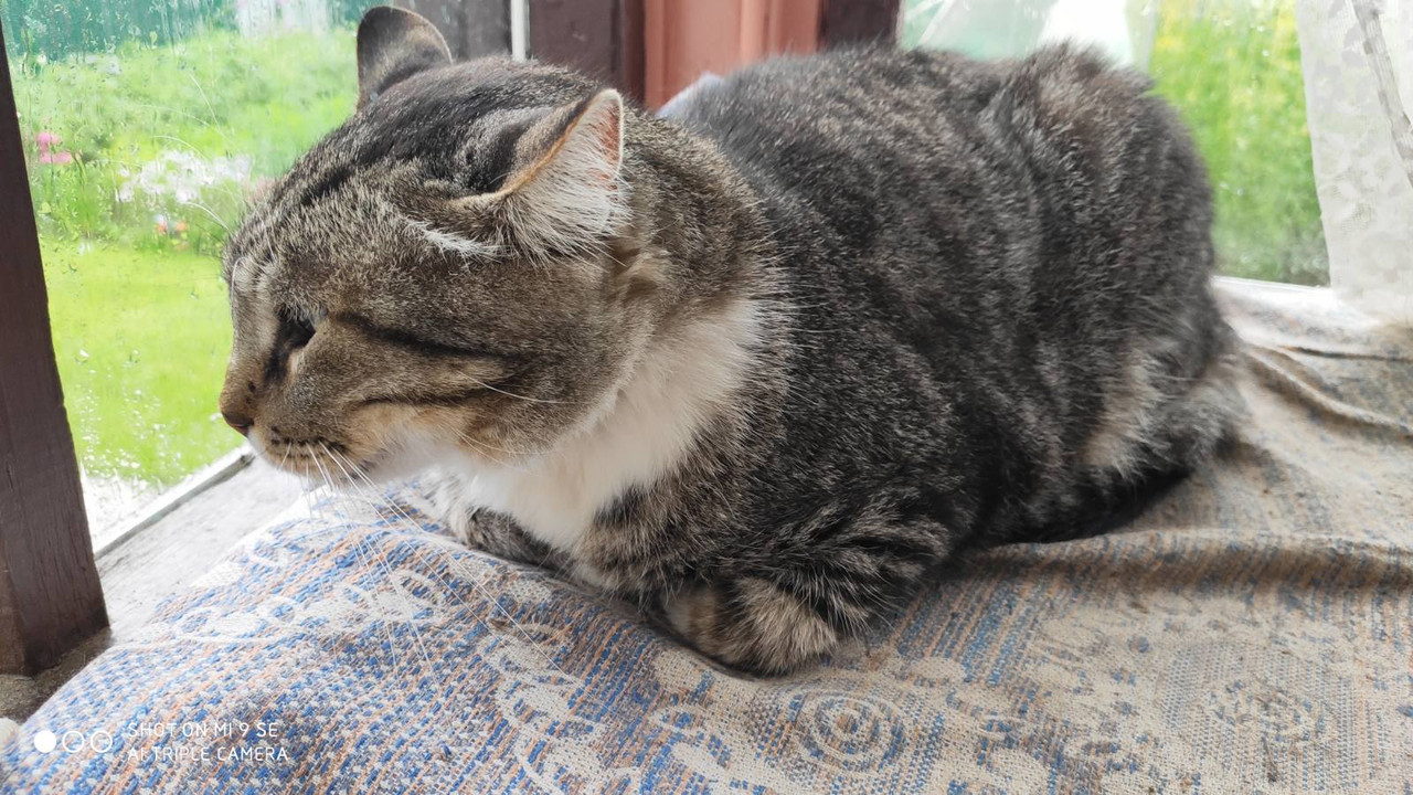 изображение_viber_2020-07-17_12-43-32