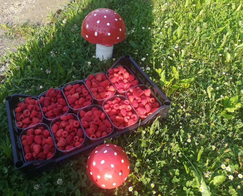 IMG-43f69d7ddab786a31d83f83fb4f67fe7-V.j