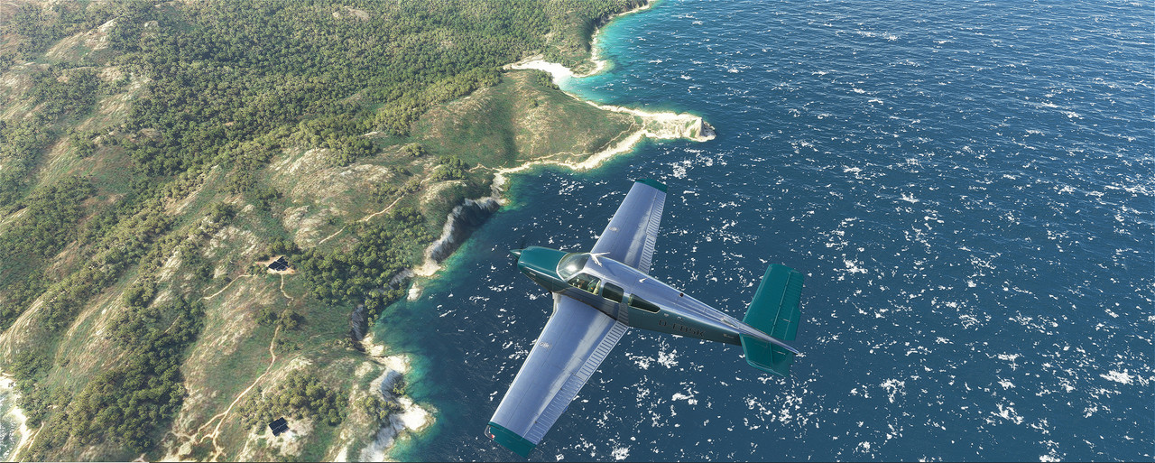 Beech-12.jpg