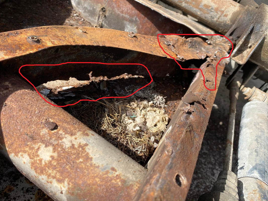 312345788_500059298705846_896057696043203942_n1