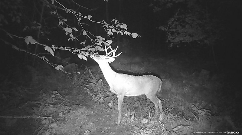 CF92DB33-0D8D-4ED3-97CB-569519C01B30