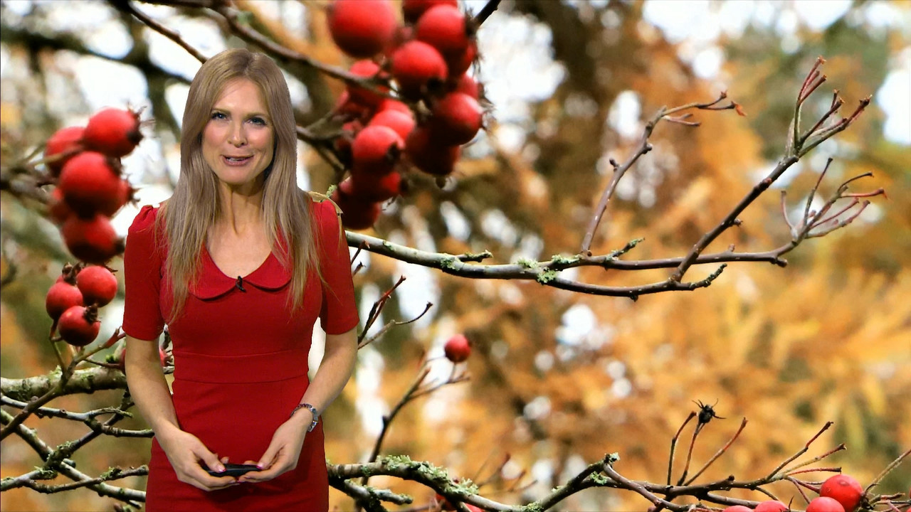 11.24 - 18.00.00 - ITV News London. The latest news in London and the....ts_snapshot_19.15.315