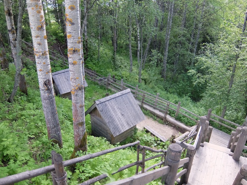 DSCF7971