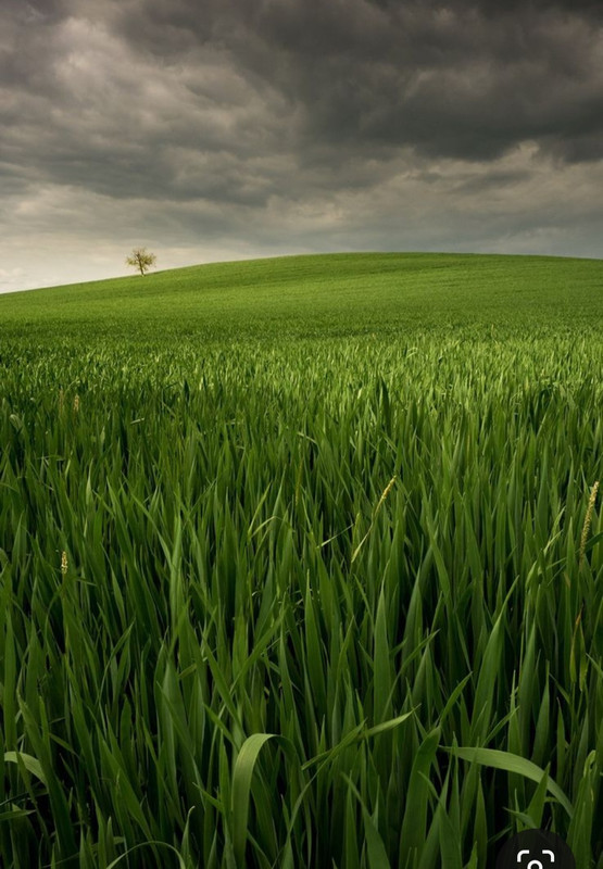 Screenshot_20240324_222033_Pinterest