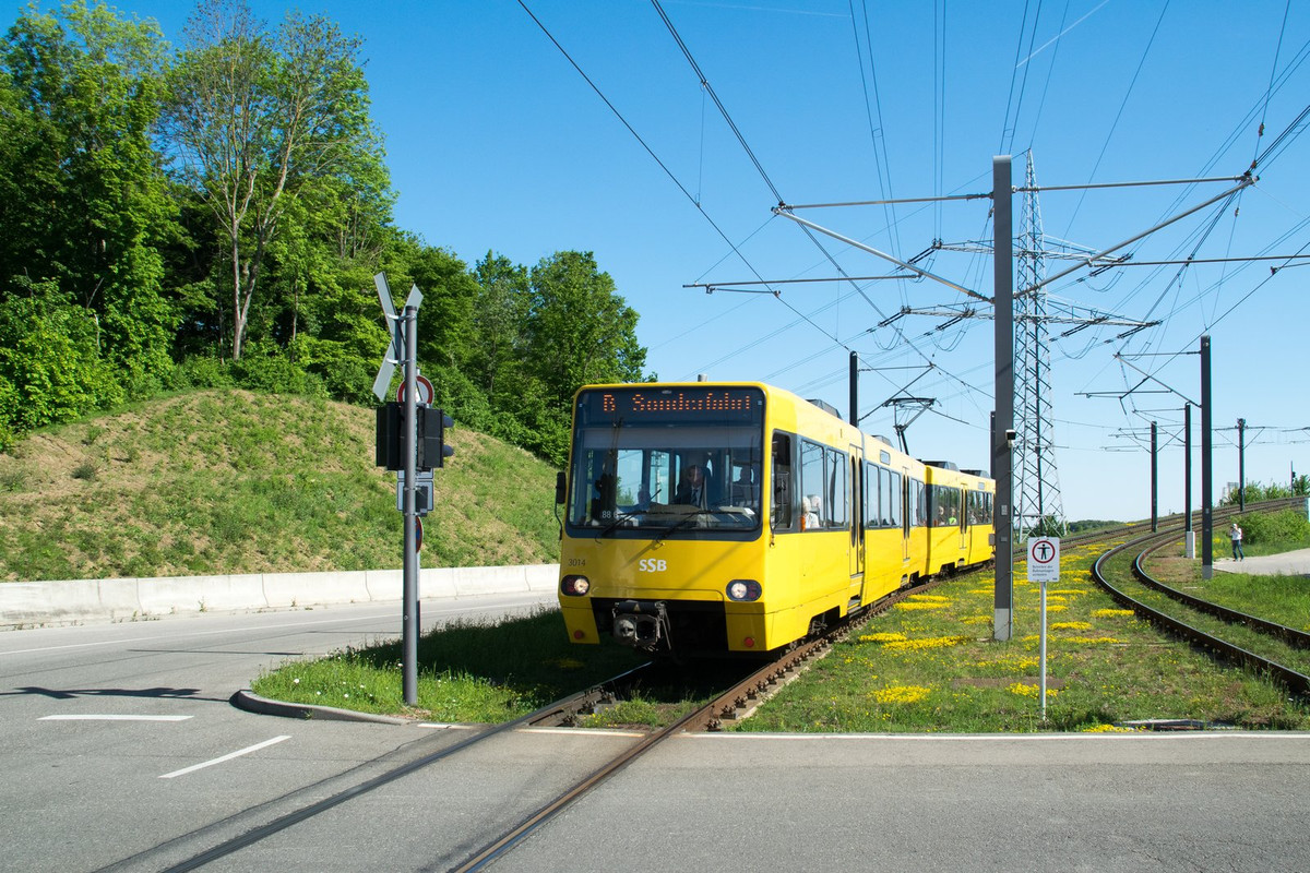 [Bild: 20250510-DSC-0840.jpg]
