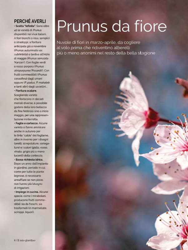 Il Mio Giar Apr-Mag 2023 (1)