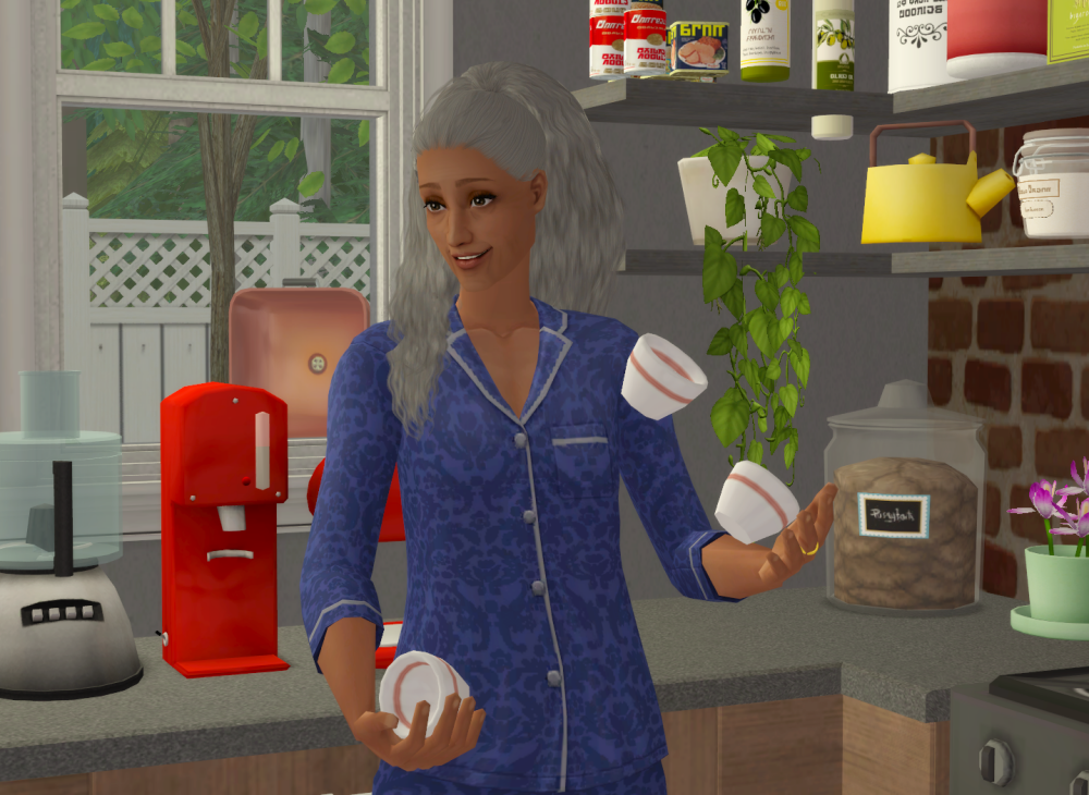 Sims2-EP9-RPC-2021-12-22-21-29-54-45