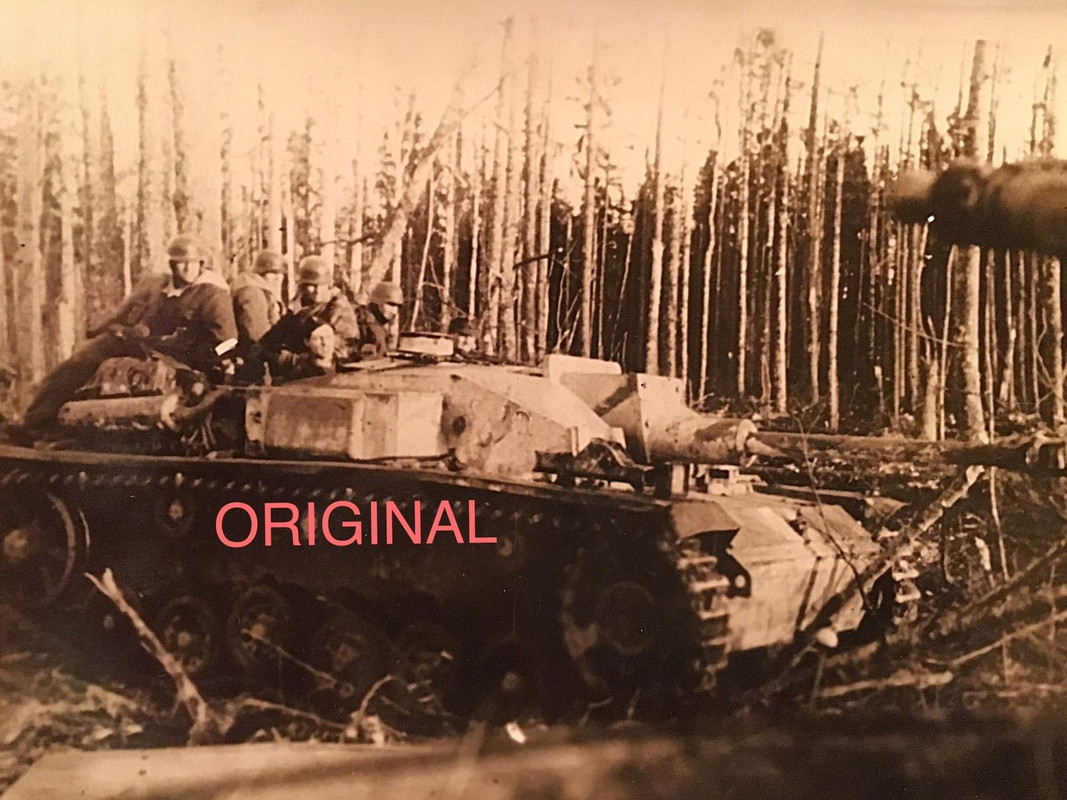 PANZER TANK STURMGESCHÜTZ CAMO TARN RUSSLAND STA