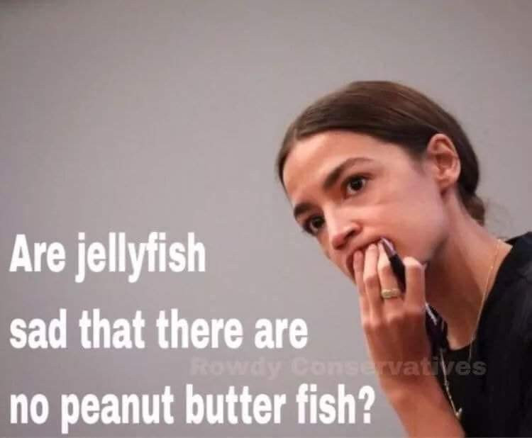 Ocasio-Cortez Blames GOP For Door Incident Deep-thought03