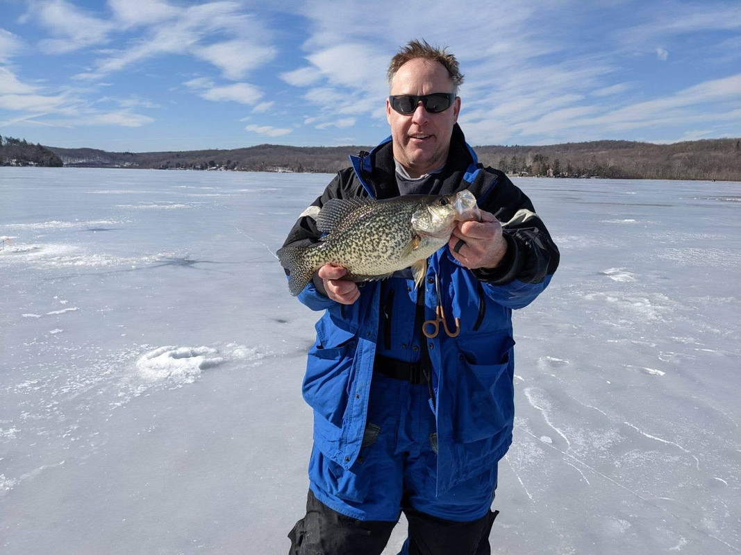 crappie