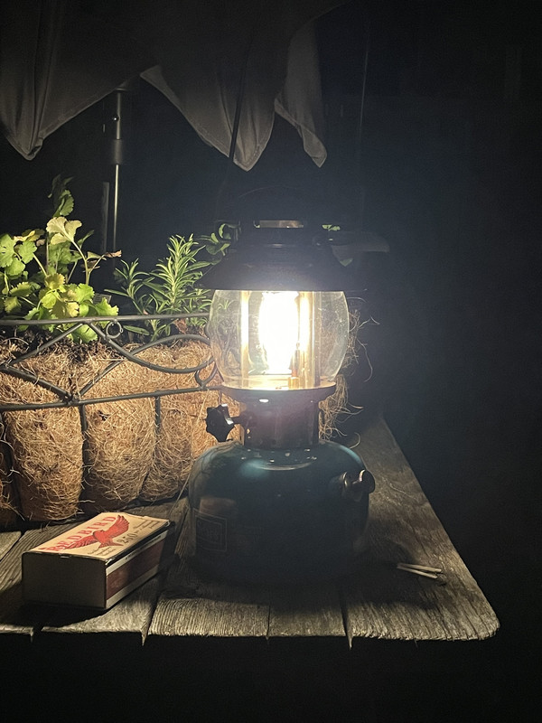 529CCE19-EF96-4B3C-B4CA-4A54D60B085F