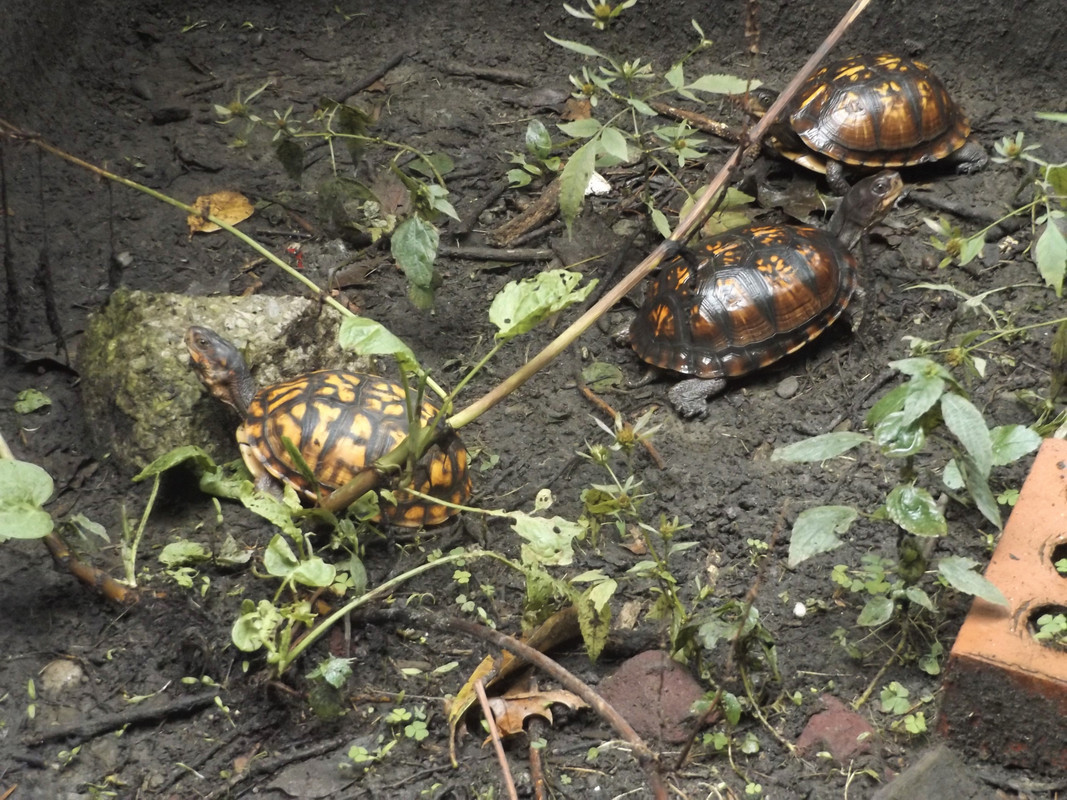 DSCF7780-2.jpg