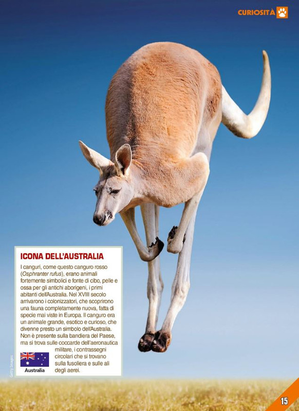 Foc Wil - Ott 2023 (11)