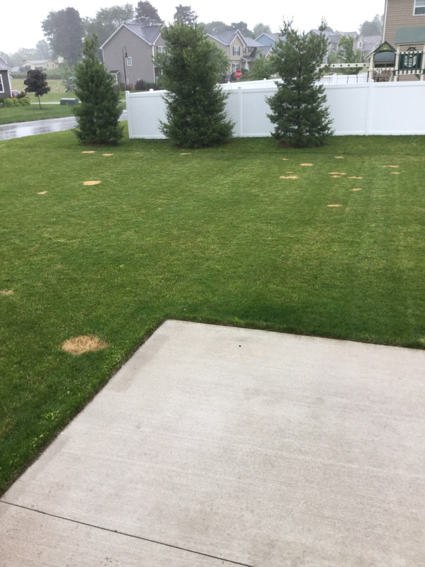 F42803B2-956A-4A8B-B6E5-D2B878FDF8D4