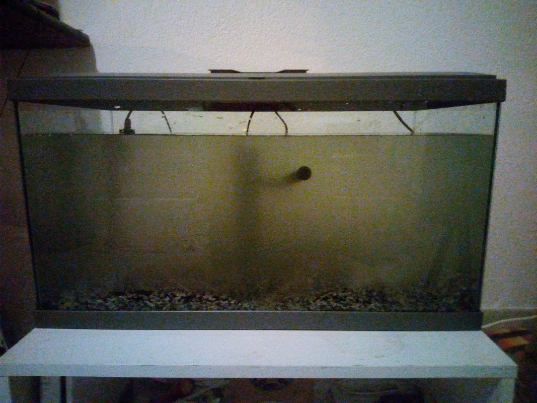 IMG_20211225_172726[1]