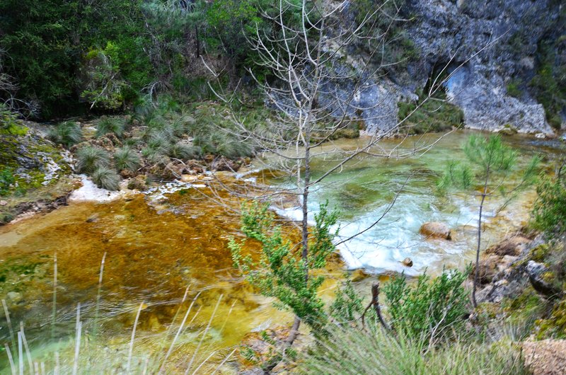 RUTA RIO BOROSA-12-3-2016-JAEN - Paseando por España-1991/2016 (214)