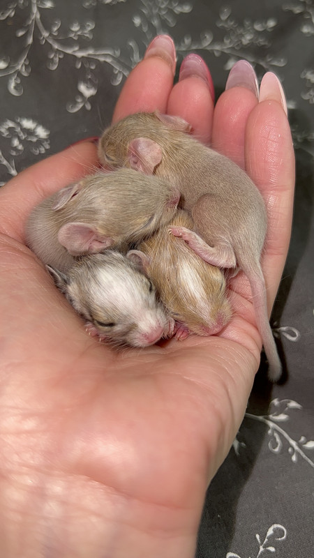 990D3245-D024-41A8-B0F5-8743B69AB1CD