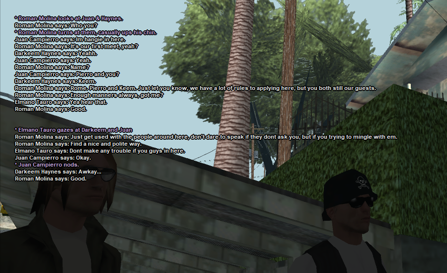 ssrp13a.png