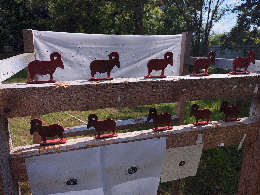 photo_2025-07-01_20-44-57 (4)