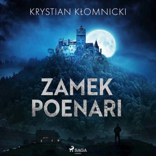 Kłomnicki Krystian - Zamek Poenari