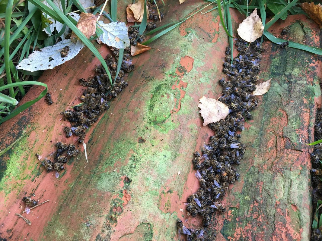 59A763C7-9CBE-4A7A-A416-448306C199AA