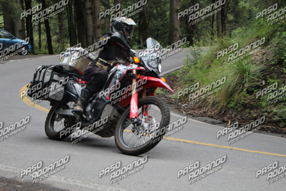 IMG 0274 wm 1547864 2 watermarked — Postimages