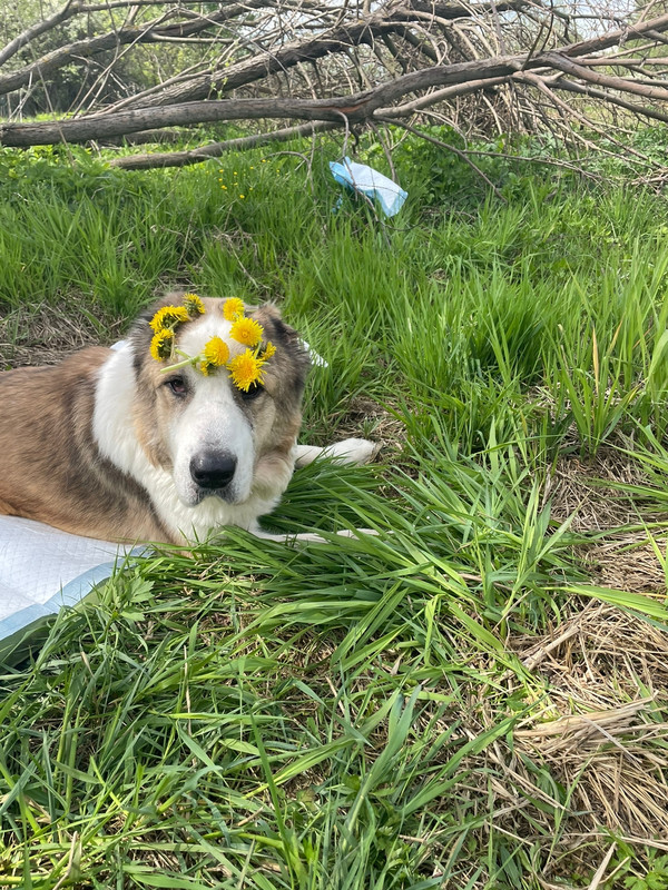 4C282119-0CA4-4DCB-BB04-11156EF1C5D6