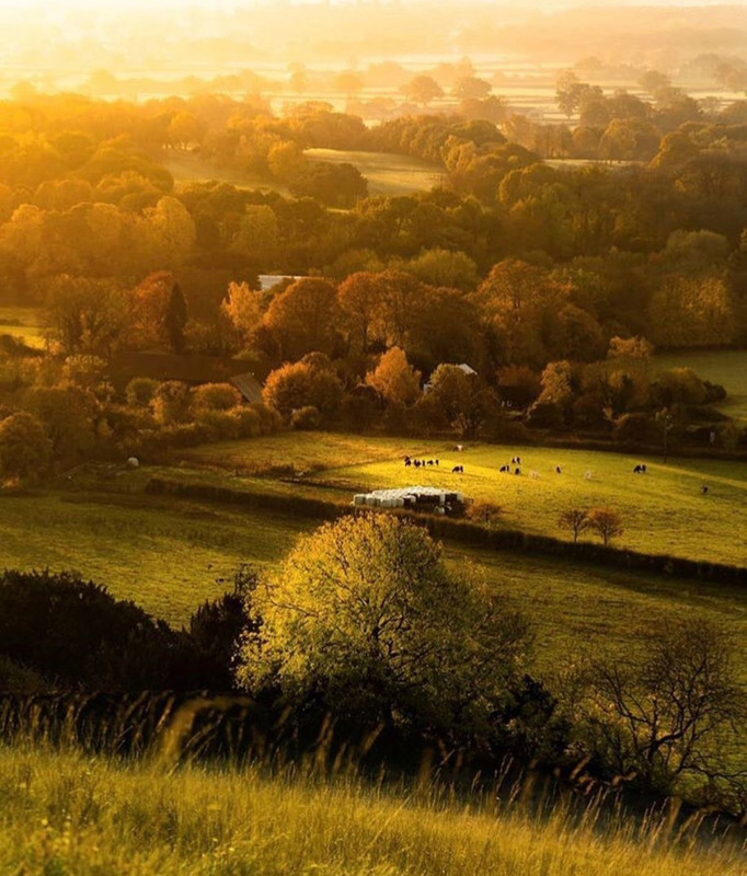 Screenshot_20231112_203724_Instagram