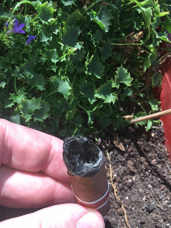 31004987-2AEC-4ABA-B41E-4627AE74B18D