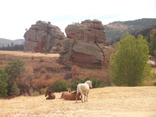 DIA 2. RUTA A SIERRA ALTA. CHECA. CHEQUILLA. ORIHUELA DEL TREMEDAL. BRONCHALES. - Rincones perdidos: Sierra de Albarracín y Montes Universales. (5)