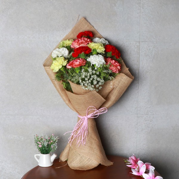 Brown Shade Carnation  Image