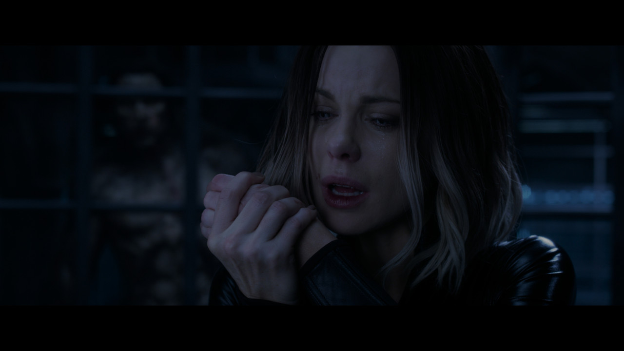 underworld.blood.wars.2016.4k-kc.mkv_snapshot_01.18.57.165