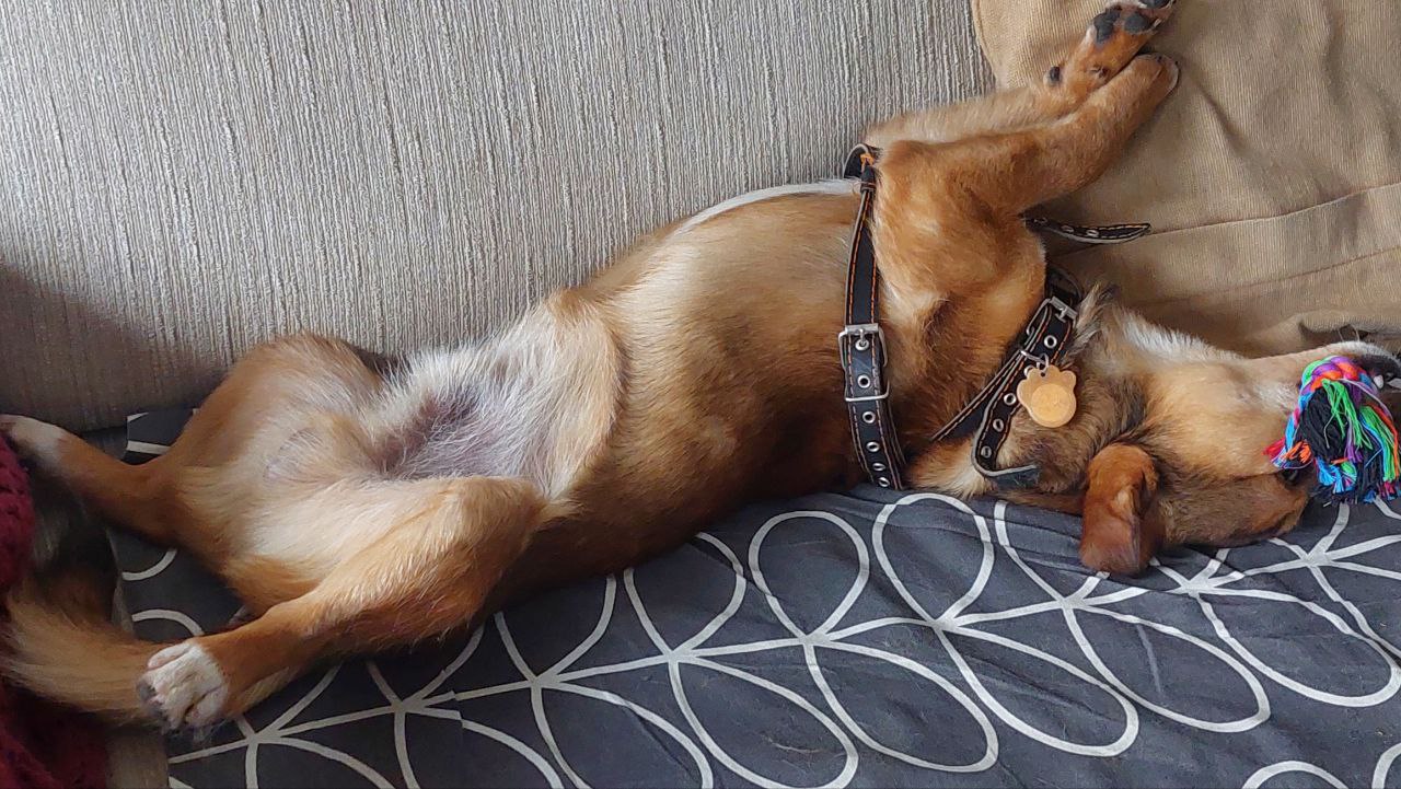 photo_2024-11-07_12-01-10 (2)