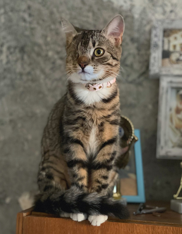 9379A5FE-A9A2-4F6A-AC46-537DABC5B144