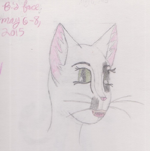 Blisa's face 6-8 May 2015