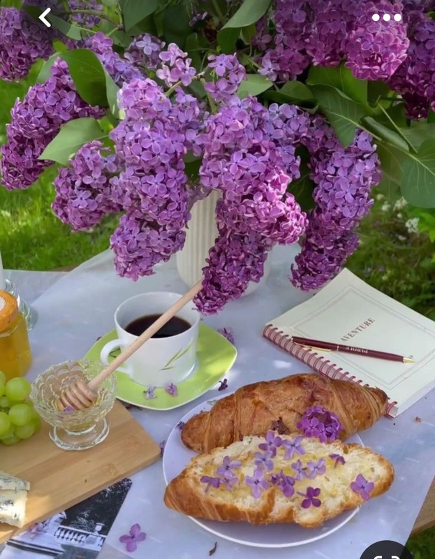 Screenshot_20230616_123317_Pinterest