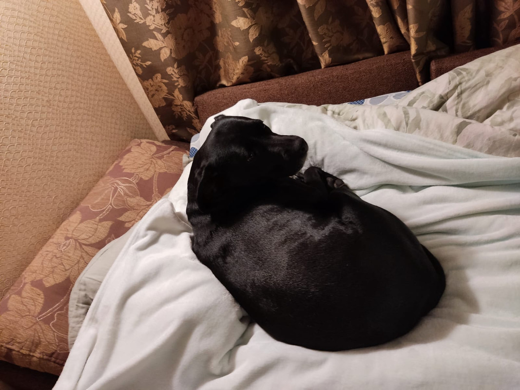 59CB87D0-E54B-4D74-8F91-0612C7E0F56E