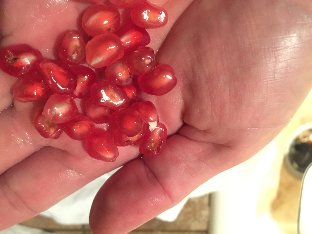 F47EB89C-43FC-4B19-BCB7-487D2E7FDF50