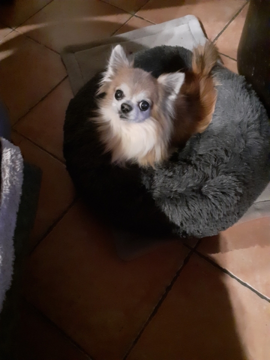 [Image: IMG-20240221-191144.jpg]